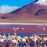 From Atacama | Uyuni salt flat 4 days the largest salt flat - What’s Included and What’s Not