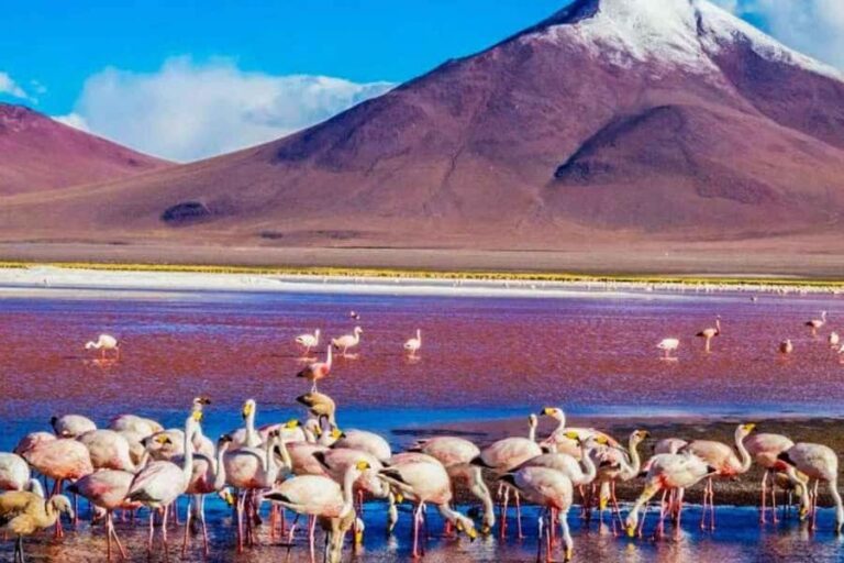 From Atacama | Uyuni salt flat 4 days the largest salt flat - What’s Included and What’s Not