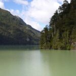 From Bariloche: Victoria Island & the Arrayanes Forest Tour - The Itinerary Breakdown: What to Expect
