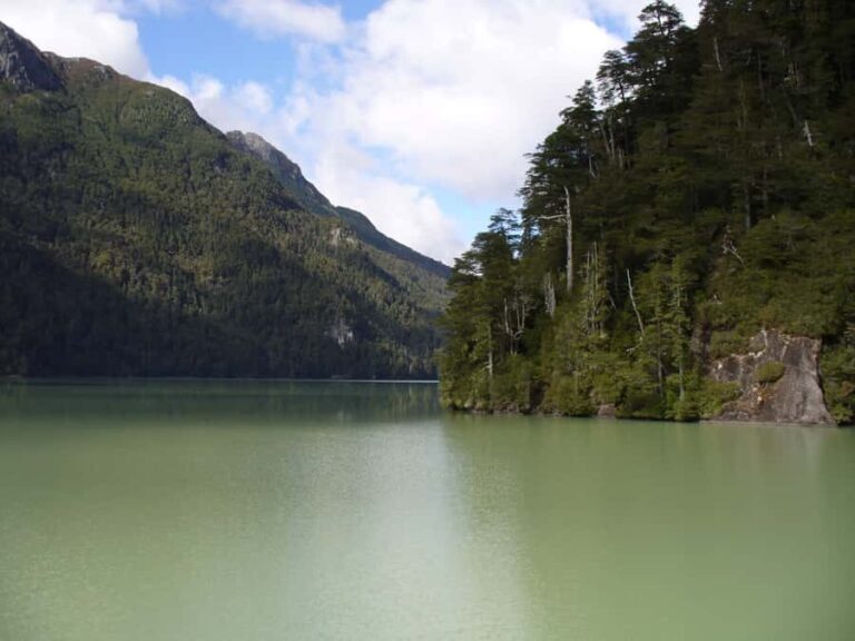 From Bariloche: Victoria Island & the Arrayanes Forest Tour - The Itinerary Breakdown: What to Expect