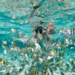 From Bavaro, Punta Cana: Boat Party, Snorkeling, Drinks, Snacks, and Transportation - Practical Tips and Considerations