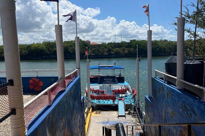 From Bayahibe - Half Day Exploring Catalina Island with snorkel - The Sum Up: Who Should Book This Tour?