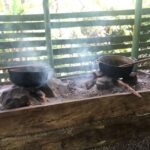 From Bayahibe: Half Day Monkeyland Safari - A Detailed Look at the Monkeyland Safari Experience