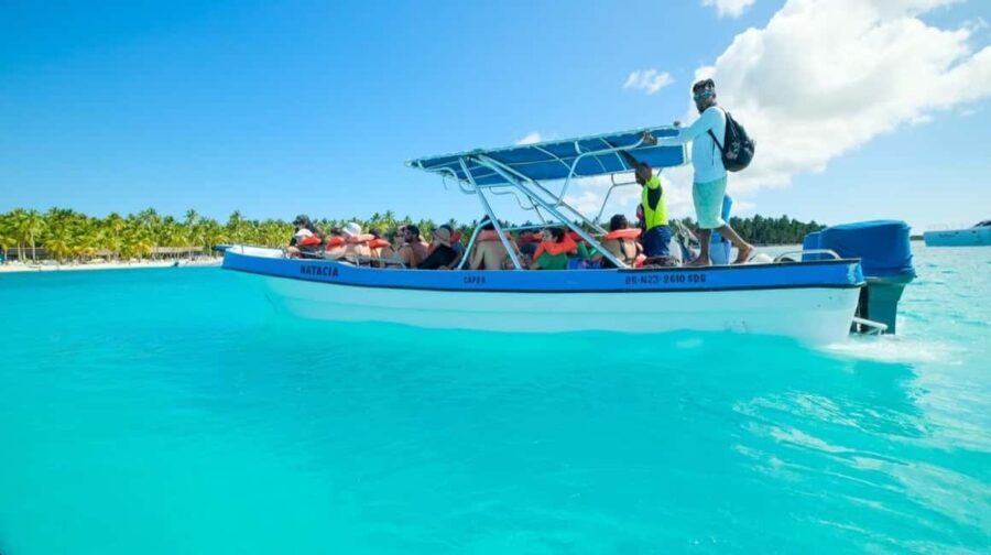 From Bayahíbe: Saona Island Catamaran Cruise with Buffet - What Travelers Say: Authentic Insights