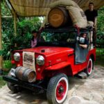 From Bogotá: Coffee Farm and Tequendama Falls Tour - The Tour in Depth