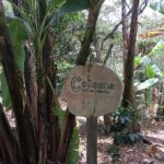 From Bogotá: Coffee Farm Experience Private Day Tour - Exploring Colombia’s Coffee Heritage