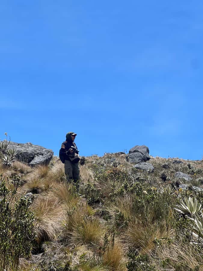 From Bogota: Explore Colombia's Andean Highlands - Key Points