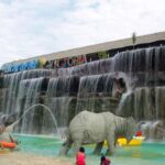 From Bogotá: Private Tour to Pablo Escobar's Theme Park - Exploring the Journey from Bogotá to Hacienda Nápoles