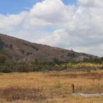 From Bogotá: Private Tour to Villa de Leyva - Authentic Experiences and Practical Details