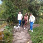 From Bogotá: Tour to the Waterfall of La Chorrera - Why This Tour Offers Great Value