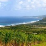 From Bridgetown: Barbados Coast To Coast Half-Day Tour - The Sum Up: Who Will Love This Tour?