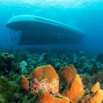 From Bridgetown: Scenic Boat and Submarine Tour - Final Thoughts