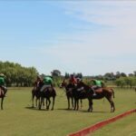 From Buenos Aires: Polo Match, Lesson, and BBQ Day-Trip - A Closer Look at the Itinerary