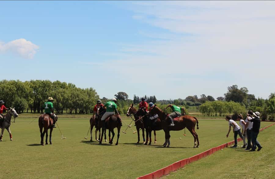 From Buenos Aires: Polo Match, Lesson, and BBQ Day-Trip - A Closer Look at the Itinerary