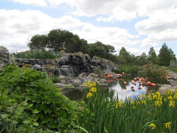 From Buenos Aires: Temaiken Biopark with Transfer and Tickets - Who Is This Tour Best For?