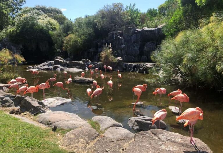 From Buenos Aires: Temaiken Zoo Tour with Ticket Included - An In-Depth Look at the Temaikèn Biopark Tour