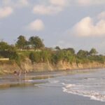 From Cali: Whale Watching Day Trip in Buenaventura - Why This Tour Works for You