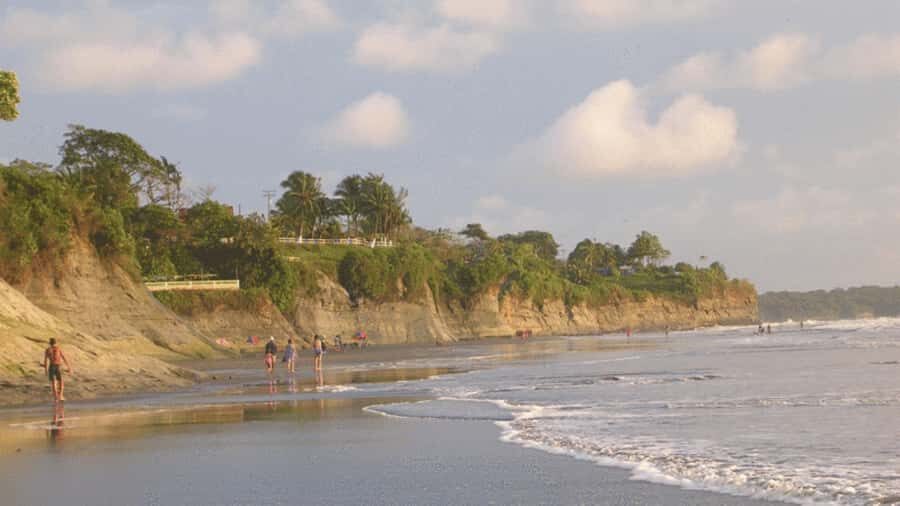 From Cali: Whale Watching Day Trip in Buenaventura - Why This Tour Works for You