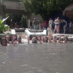 From Castries: St.Lucia Island Guided Tour - An In-Depth Look at the From Castries: St. Lucia Island Guided Tour