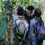 From Cusco: 3-day tour to the Peruvian Amazon with sleeper bus and lodge - Who Will Love This Tour?