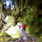 From Cusco: 7-Day Trek to Machu Picchu Through Inca Trail - The Value of the Tour