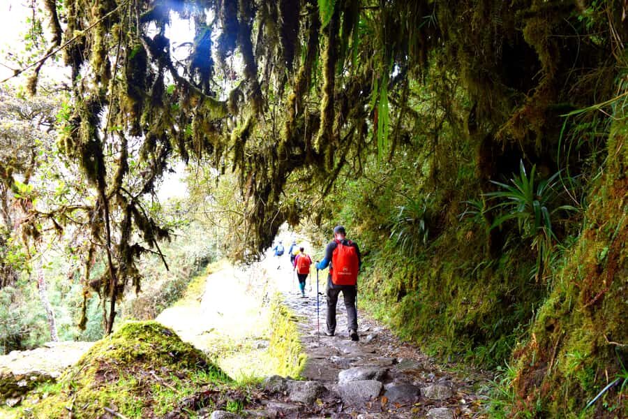 From Cusco: 7-Day Trek to Machu Picchu Through Inca Trail - The Value of the Tour