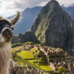 From Cusco: City tour Cusco and Machu Picchu 3-Day Tour - Authentic Experiences and Practical Tips