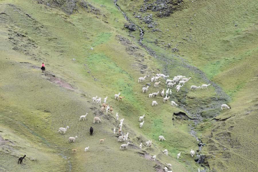 From Cusco: Clasic Rainbow Mountain Tour Vinicunca. - Whats Included & Whats Not