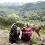 From Cusco: Full day Inti Ñan hike with Llamas - What’s Included and What to Consider