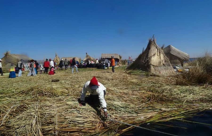From Cusco: Full day Uros and Taquile Island - Practical Details and What to Expect