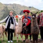 From Cusco: Llama and Alpaca Walk to Intipunku - Who Will Love This Tour?