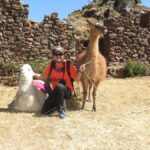 From Cusco: Llama Trekking - What You Can Expect from This Tour
