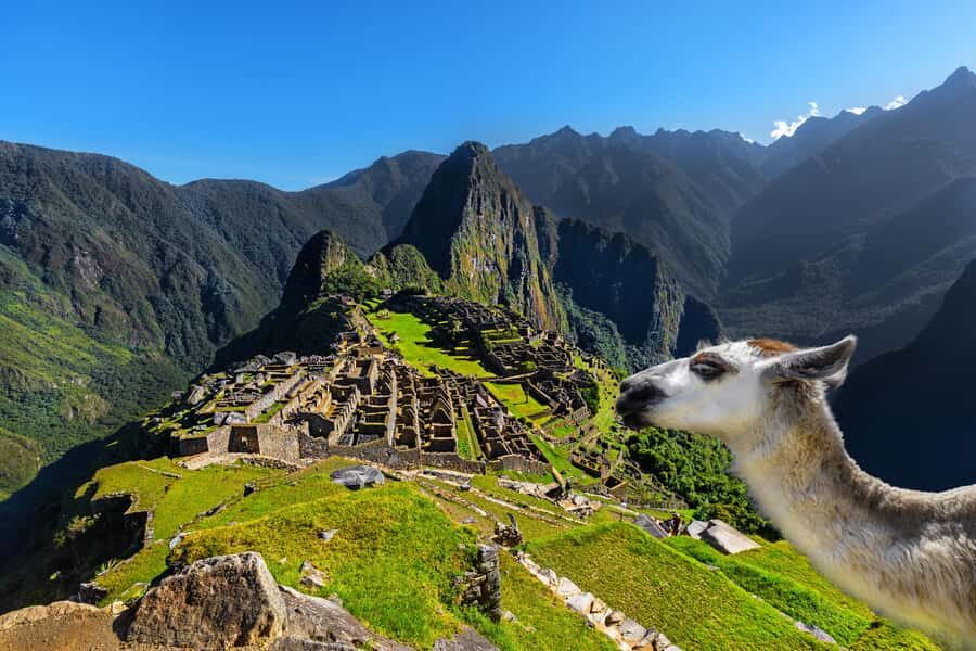 From Cusco: Machu Picchu and 4-day Inca Trail with train included - In-Depth Review of the 4-Day Machu Picchu & Inca Trail Tour