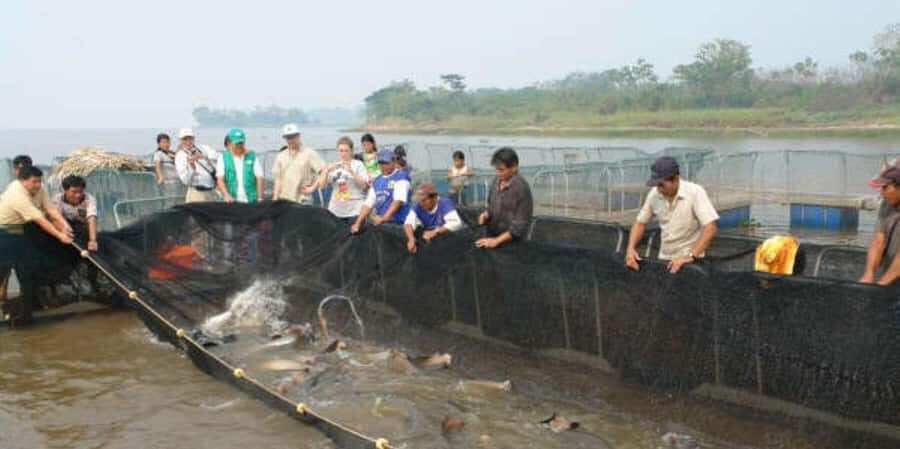 From Cusco: Machu Picchu by car 2D/1N - The Big Day: Machu Picchu