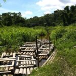 From Cusco: Manu National Park 3Days - Final Thoughts