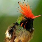 From Cusco: Manu National Park Tour & Accommodation 3 Days - Transportation and Group Size