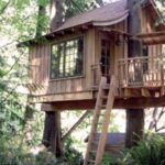 From Cusco: Manu Tree House 4 days/3 nights - What’s Included and What to Keep in Mind