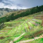 From Cusco: Maras Salt Mines and Moray Guided Tour/Private - Exploring the Sacred Valley: A Closer Look