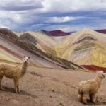 From Cusco | Private service Palccoyo Mountain+Forest stones - Why This Tour Stands Out