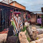 From Cusco: Sacred Valley & Moray, Salt Mines with Lunch - In-Depth Review of the Sacred Valley Tour from Cusco