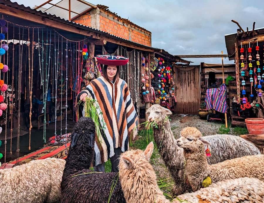 From Cusco: Sacred Valley & Moray, Salt Mines with Lunch - In-Depth Review of the Sacred Valley Tour from Cusco