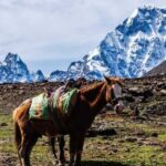 From Cusco: Tour Ausangate & 7 Lakes Full Day - Practical Aspects and Value