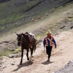 From Cusco: Transfer to Rainbow Mountain Day Trip - Who should consider this tour?