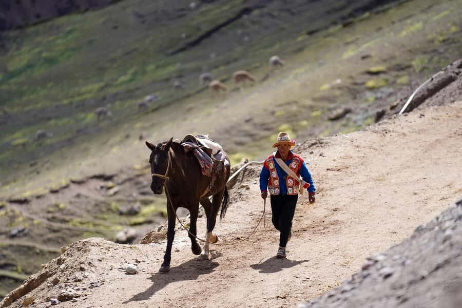 From Cusco: Transfer to Rainbow Mountain Day Trip - Who should consider this tour?