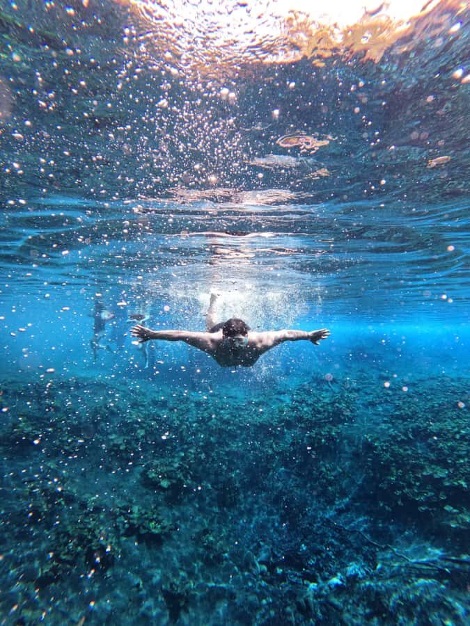 From Flores: Blue Crater private day tour - Detailed Breakdown of the Tour Experience