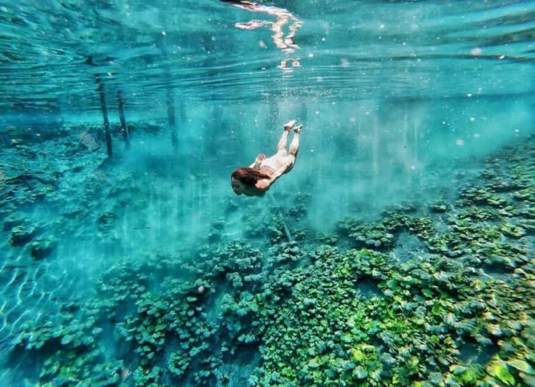 From Flores: El Pucte Blue Crater Private Day Tour - Who Should Consider This Tour?