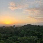 From Flores Guided Tour to Tikal with transportation + lunch - A Detailed Look at the Tikal Guided Tour