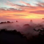 From Flores, Tikal Guided Group Tour - Who Is This Tour Best For?