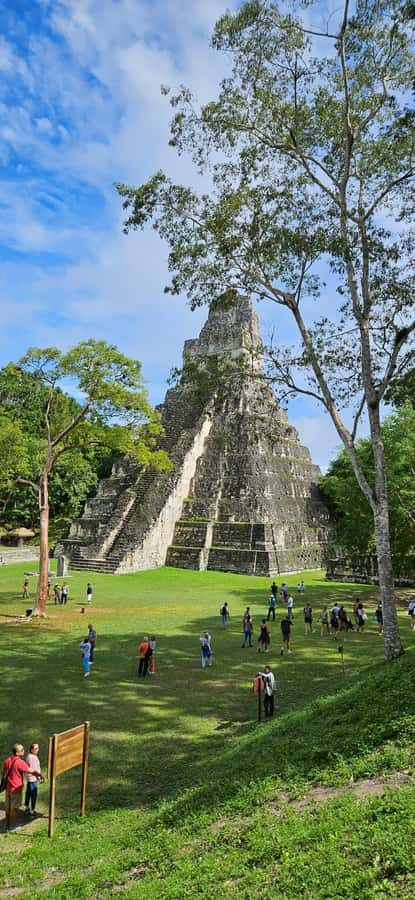 From Flores: Tikal National Park All Inclusive - What Makes This Tour Stand Out?