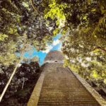 From Flores: Tikal National Park Private Day Trip with Lunch - Why This Tour Works Well for Travelers